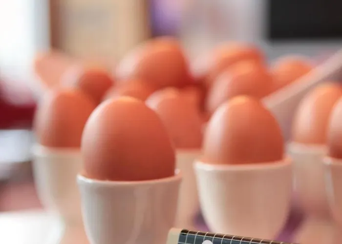 L'esplanade Bed & Breakfast